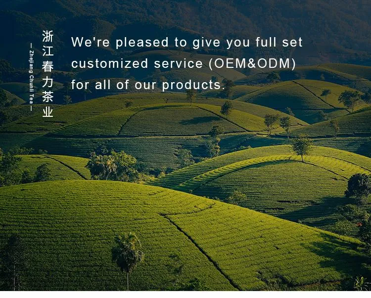 China Chunmee Green Tea 9371AAA First Harvest Organic Green Tea Buds Tea Manufacturer Bulk Wholesale Green Tea Leaves Free Sample for Morocco