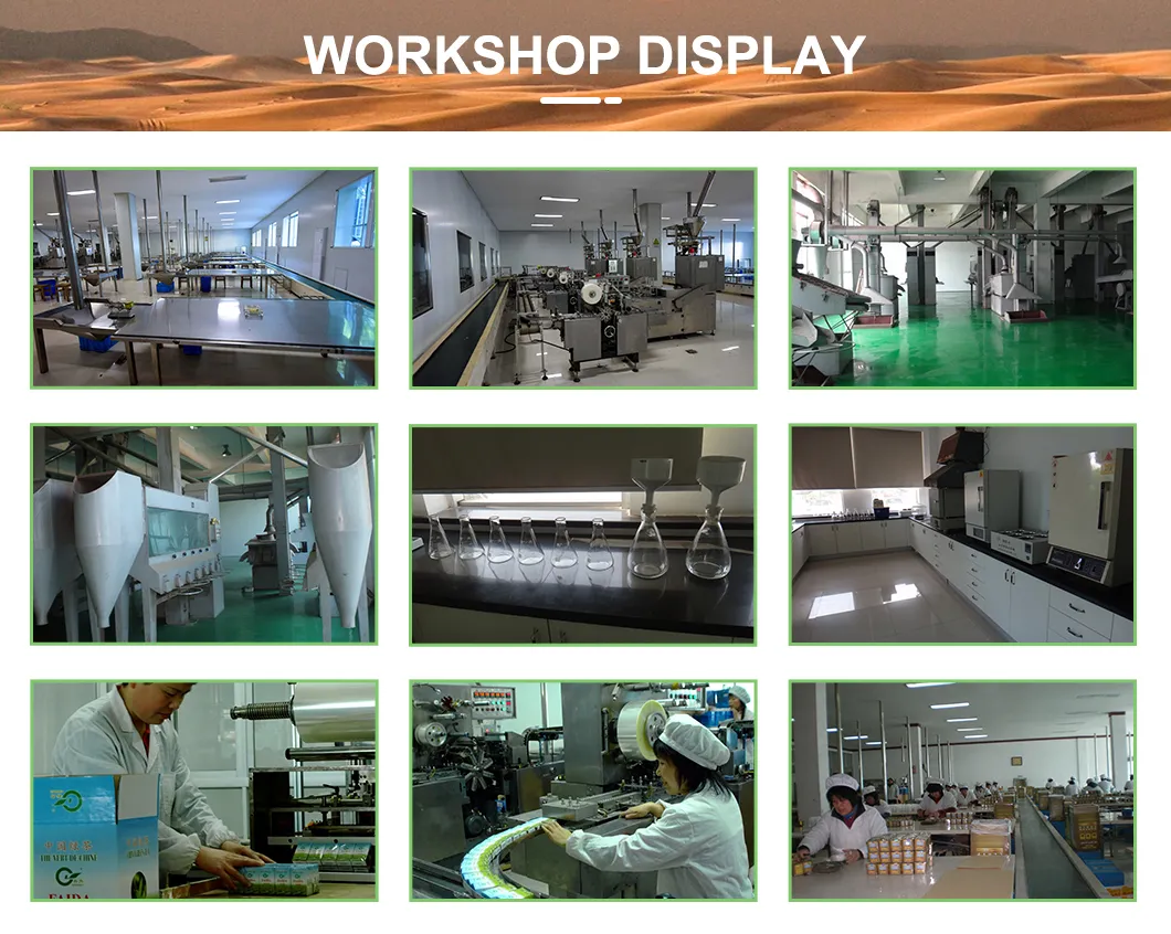 China Chunmee Green Tea 9371AAA First Harvest Organic Green Tea Buds Tea Manufacturer Bulk Wholesale Green Tea Leaves Free Sample for Morocco