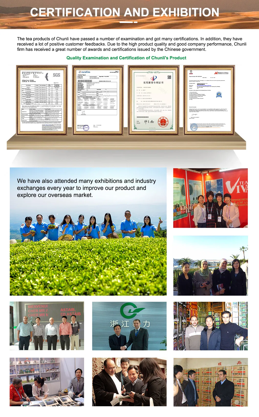 China Chunmee Green Tea 9371AAA First Harvest Organic Green Tea Buds Tea Manufacturer Bulk Wholesale Green Tea Leaves Free Sample for Morocco