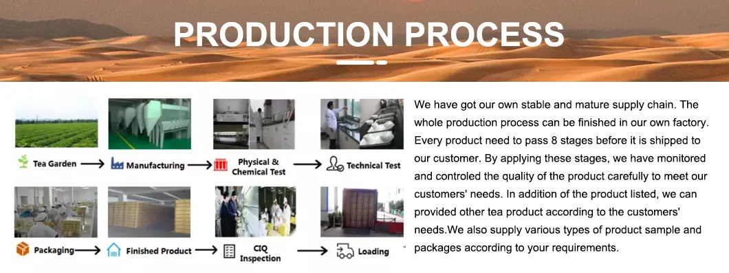 China Chunmee Green Tea 9371AAA First Harvest Organic Green Tea Buds Tea Manufacturer Bulk Wholesale Green Tea Leaves Free Sample for Morocco