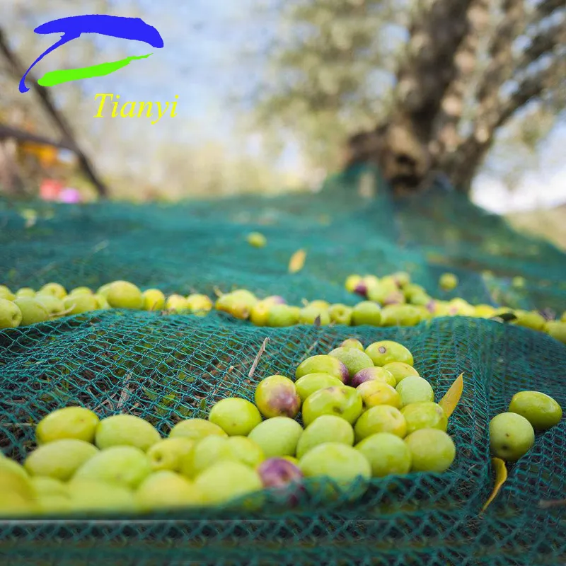 UV HDPE Agriculture Net, Anti Bird Net, Shade Net, Atni Insect Net