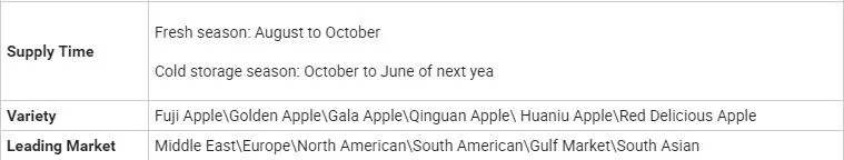 2024 Crop Whole Red FUJI Apple Green Qinguan Gala Huaniu Jiguan Dallo Apple