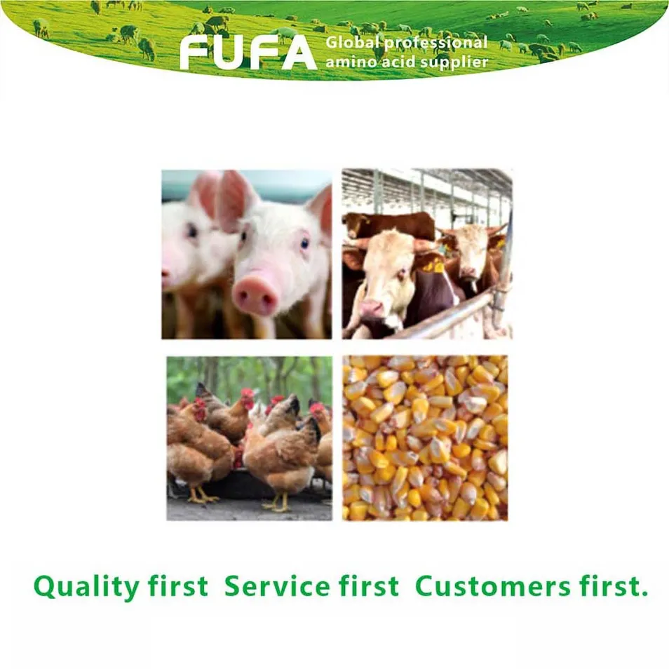 Premium Amino Acid Feed Additives L-Arginine 98.5% Powder for Enhanced Animal Growth