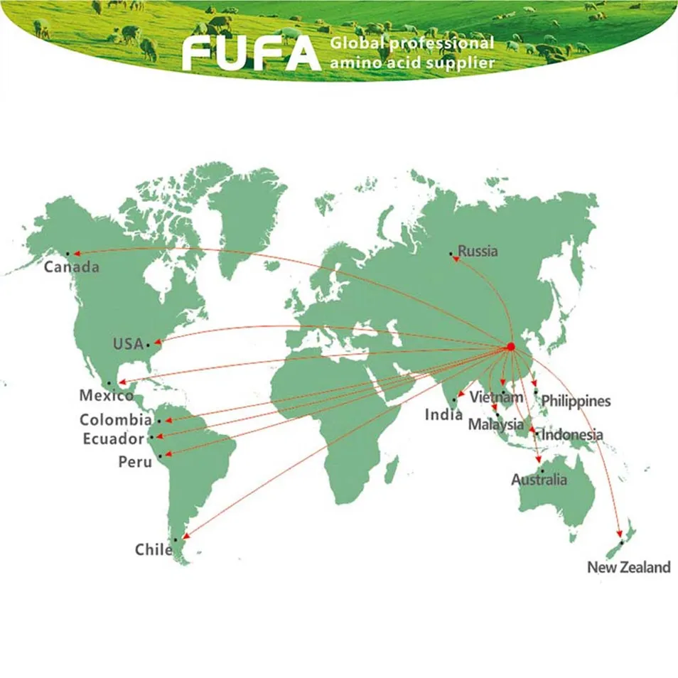 Premium Amino Acid Feed Additives L-Arginine 98.5% Powder for Enhanced Animal Growth