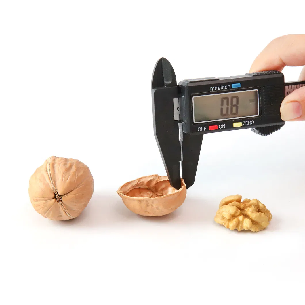 Natural Hand Peel Walnut Sourcing From Xijiang 185 Walnut Kernel Shelled Walnut