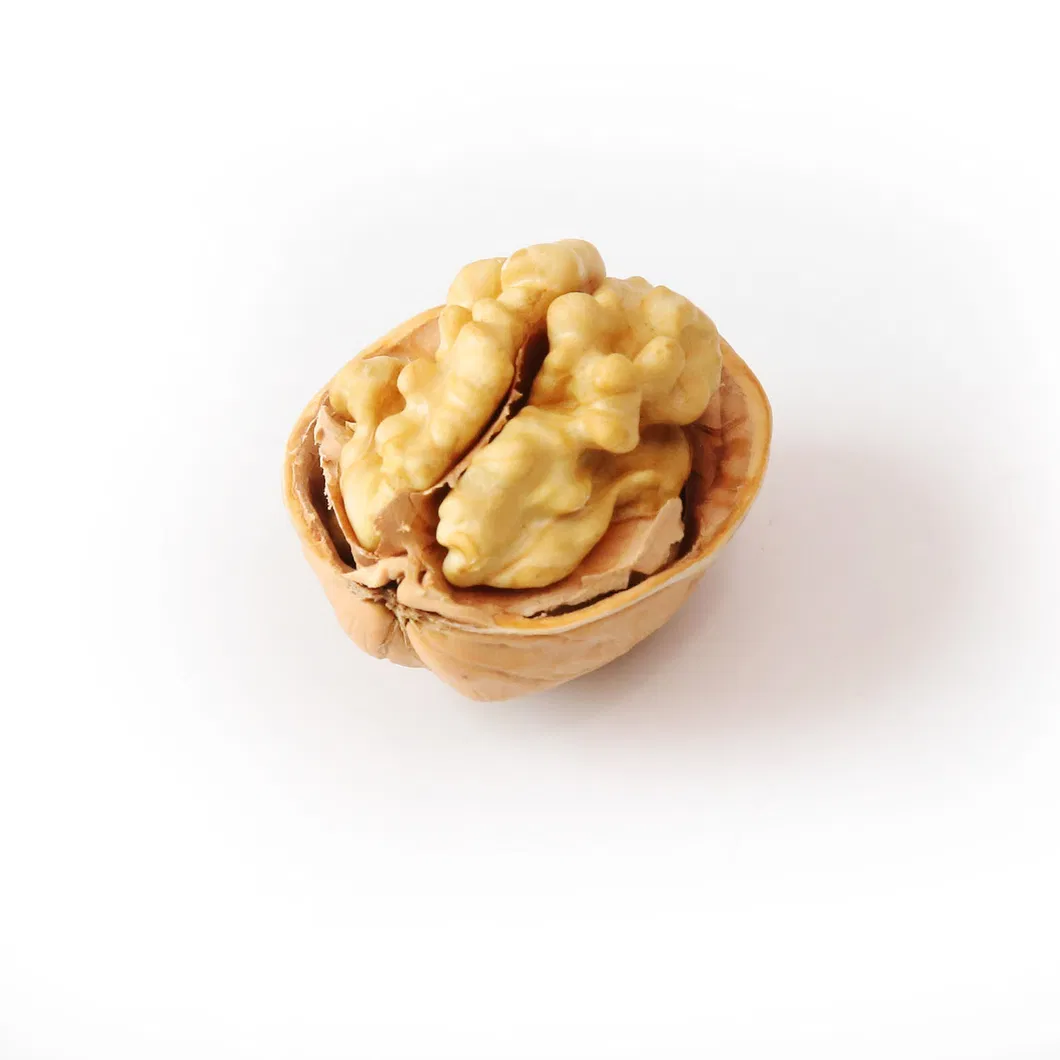 Natural Hand Peel Walnut Sourcing From Xijiang 185 Walnut Kernel Shelled Walnut