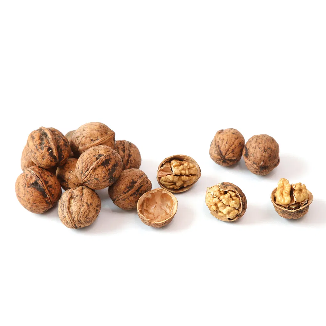 Natural Hand Peel Walnut Sourcing From Xijiang 185 Walnut Kernel Shelled Walnut