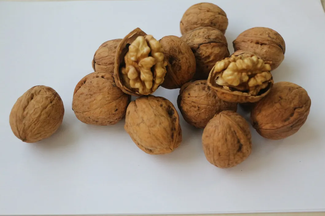 Natural Hand Peel Walnut Sourcing From Xijiang 185 Walnut Kernel Shelled Walnut