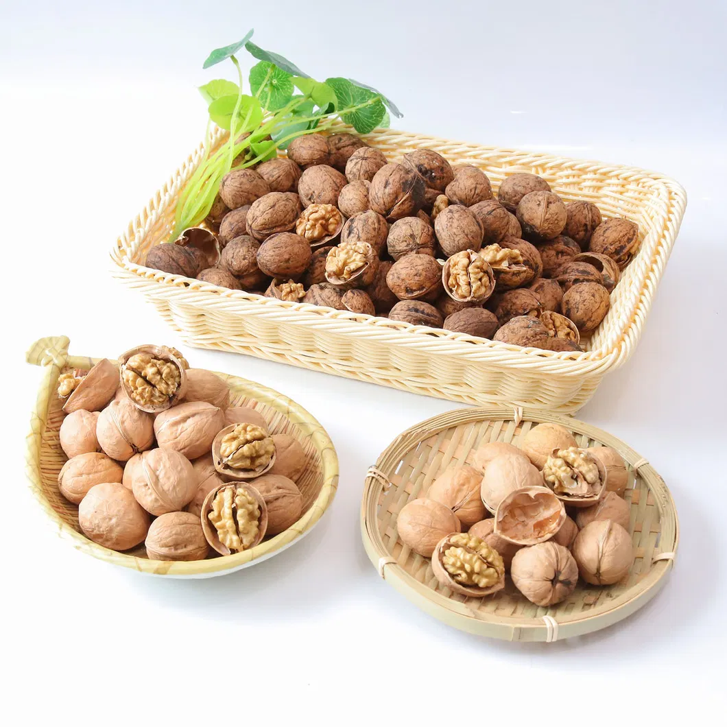 Natural Hand Peel Walnut Sourcing From Xijiang 185 Walnut Kernel Shelled Walnut