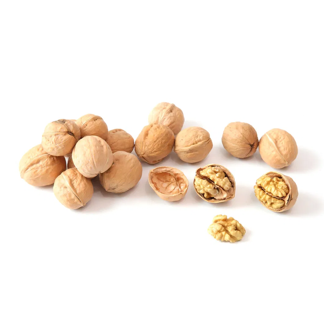 Natural Hand Peel Walnut Sourcing From Xijiang 185 Walnut Kernel Shelled Walnut