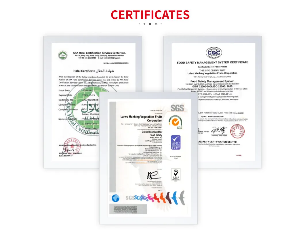 Shandong High Standard Paper Bagged FUJI Apple