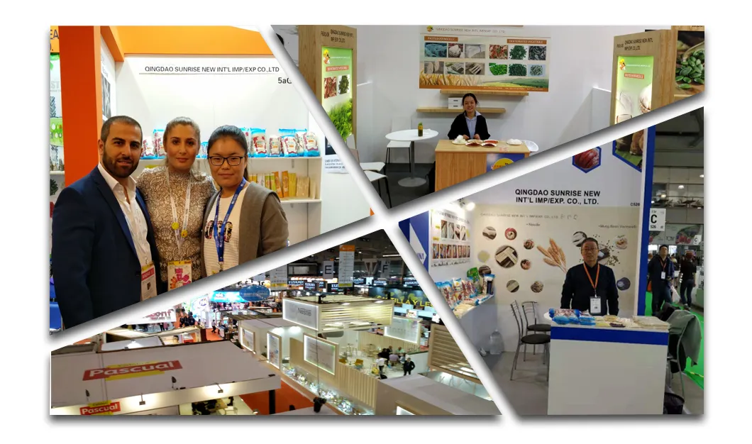 Sunrise Brand 300g Brc High Quality Chinese Style Dried Udon Noodles