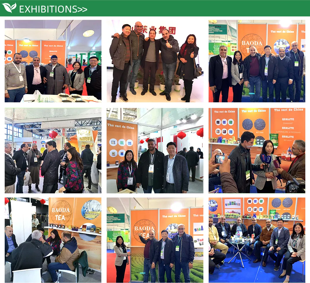 Chinese Chunmee Green Tea 41022 From China Supplier with Free Samples