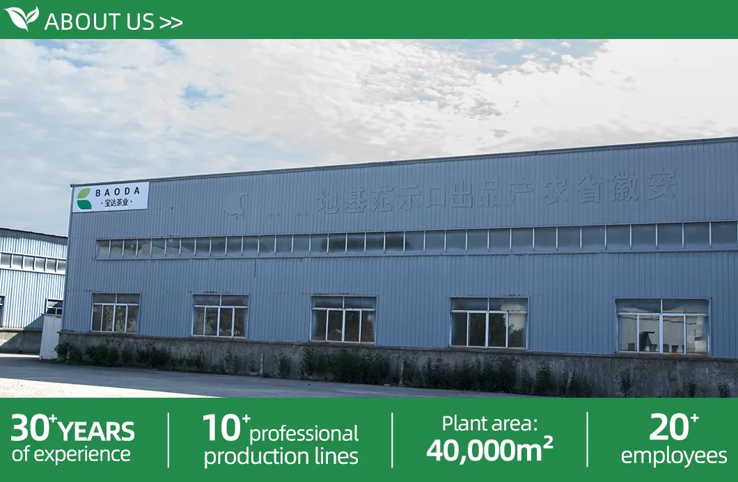 Chinese Chunmee Green Tea 41022 From China Supplier with Free Samples