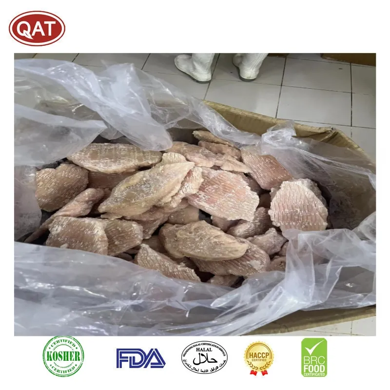 Export New Product IQF Chicken Tender Breast to Arabic Market