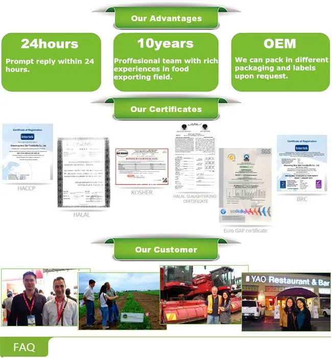 Export New Product IQF Chicken Tender Breast to Arabic Market