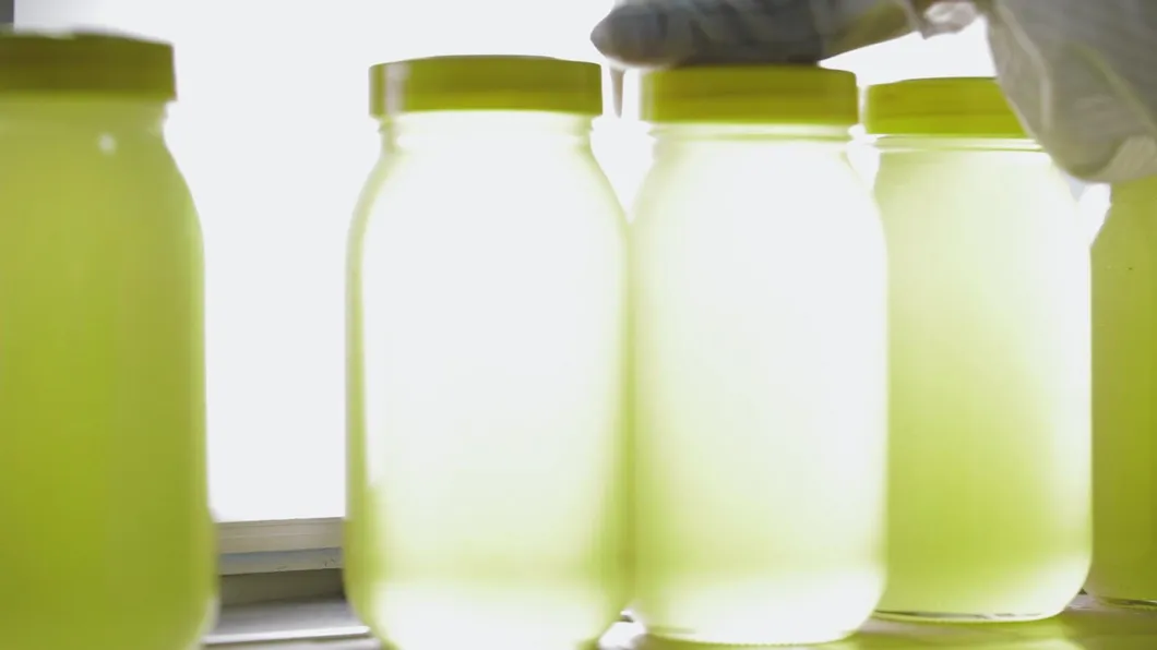 Natural Pollution-Free High Quality Gift Box Packaging Gift Must Be Customized Label Royal Honey