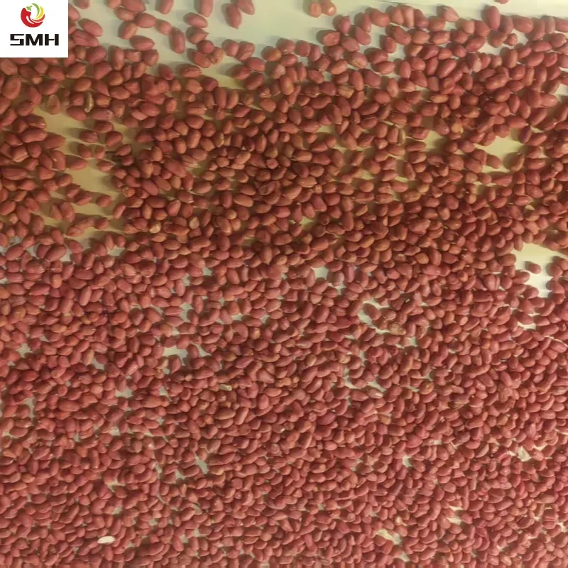 Export Best Quality Chinese Peanut Kernel