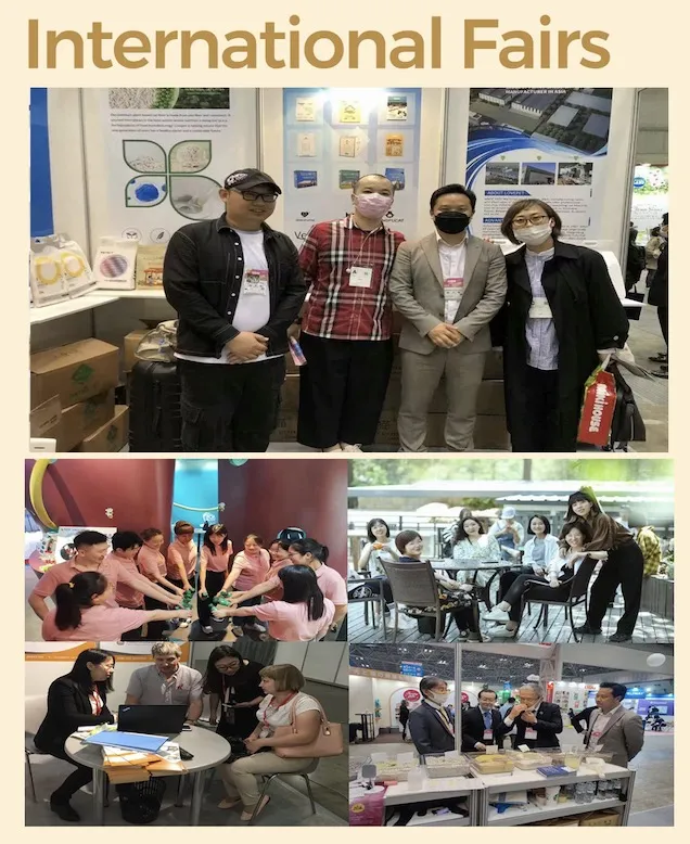 Super Protein Calcium Nutrition Freeze-Dried Seafood Dry Pet Food Cat Snack Treat