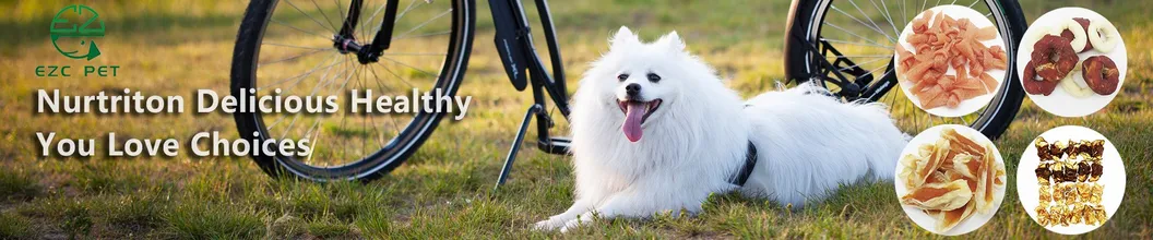 Super Protein Calcium Nutrition Freeze-Dried Seafood Dry Pet Food Cat Snack Treat