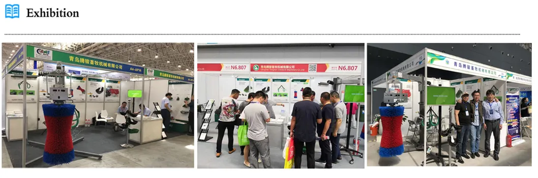 Horse Hoof Care Hoof Trimming Jack