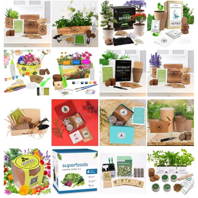 Naturix Cilantro Seeds Microgreen Seeds for Growing