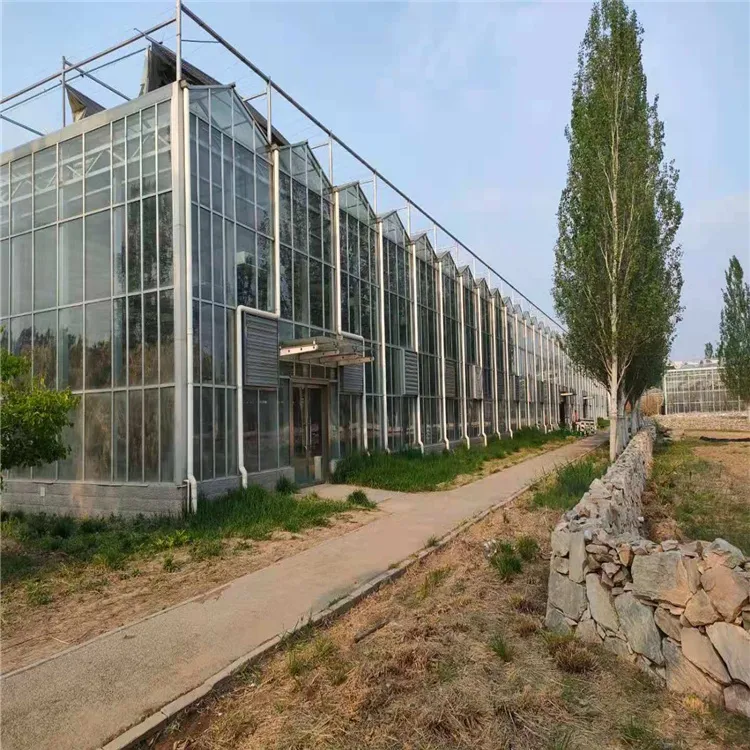 Wind-Resistant Wholesale Easy Installation Climate Control Greenhouse for Flower Production