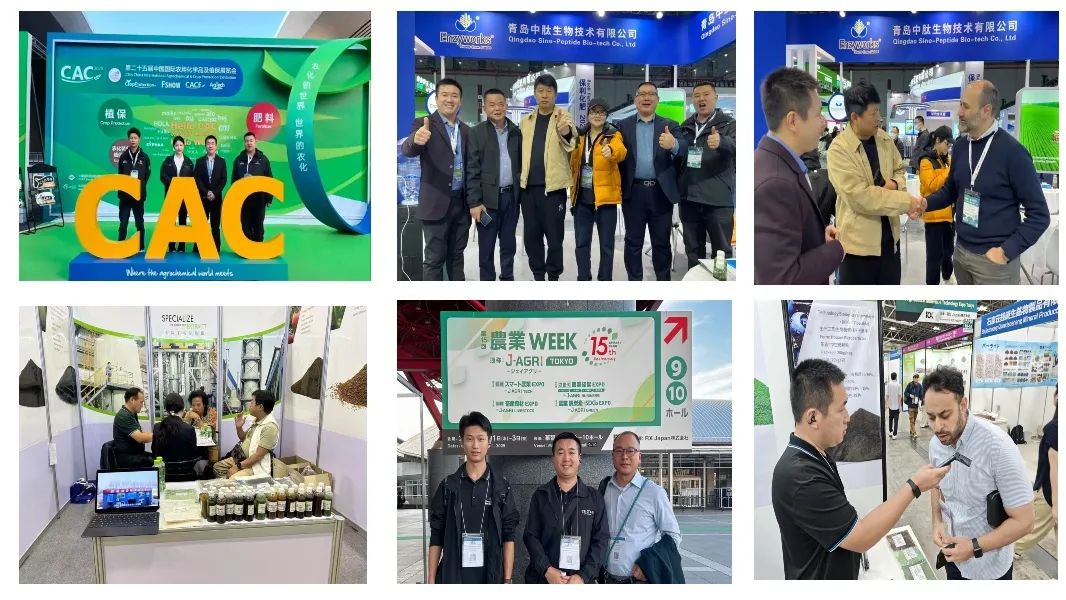 Factory Organic Green Natural Seaweed Extract Fertilizer with NPK for Foliar Spray