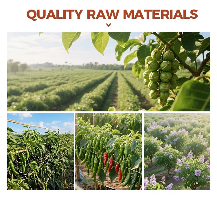 Condiment Mixed Cloves Bay Leaves Szechuan Sichuan Pepper Cumin Seeds Aniseed Star Anise Cinnamon Cassia Seasoning Powder Spices