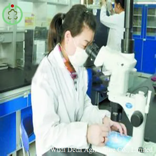 Meat and Bone Meal Meat Bone Meal