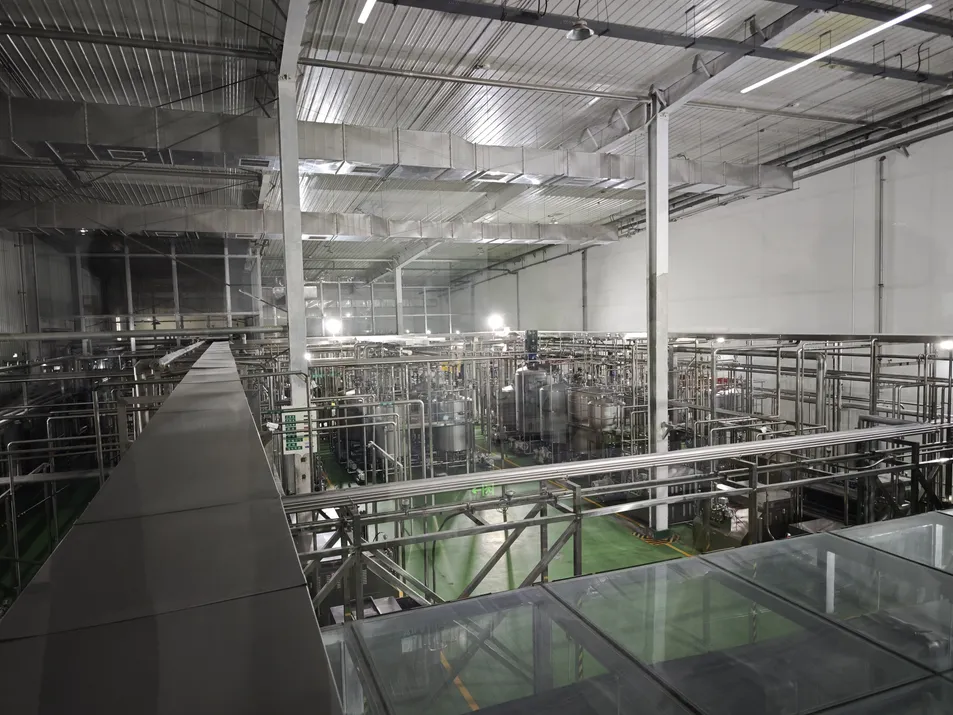 DHA Algal Oil Powder for Anti-Inflammatory, Brain Health, Omega-3 DHA