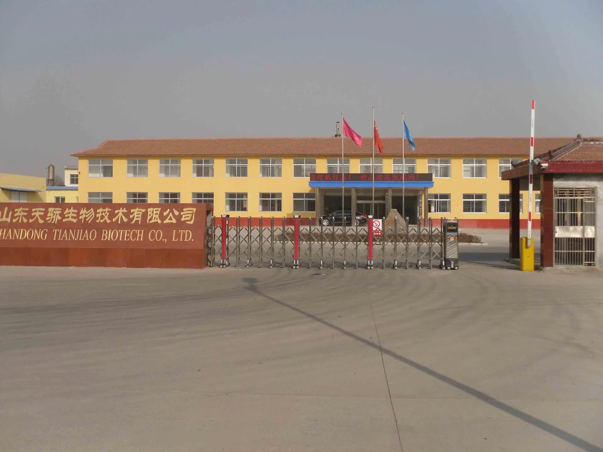 DHA Algal Oil Powder for Anti-Inflammatory, Brain Health, Omega-3 DHA