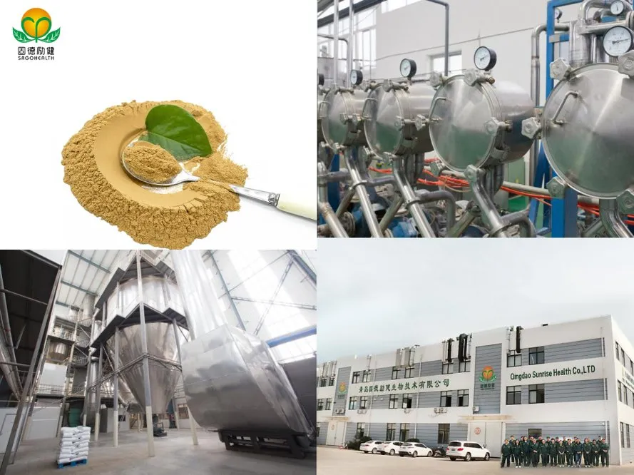 OEM EU USA Hot Selling Lower Price Organic Lyophilized Royal Jelly Powder