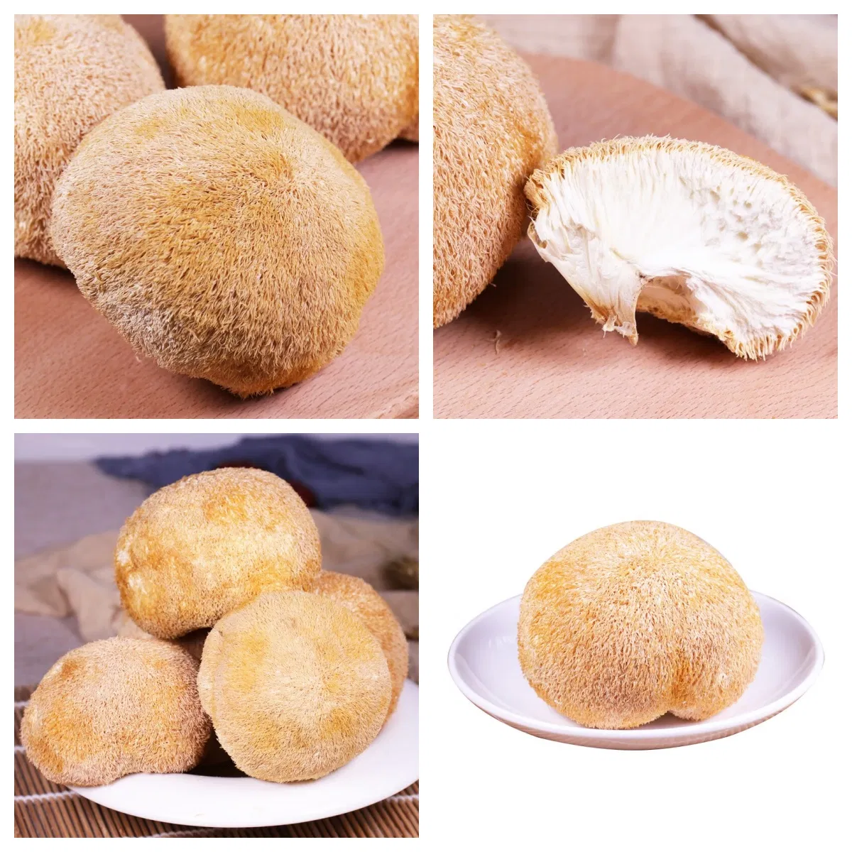 Nutritious Dry Hericium Erinaceus Mushrooms for Health Enthusiasts