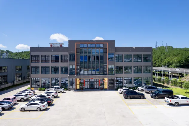 Nutritious Dry Hericium Erinaceus Mushrooms for Health Enthusiasts