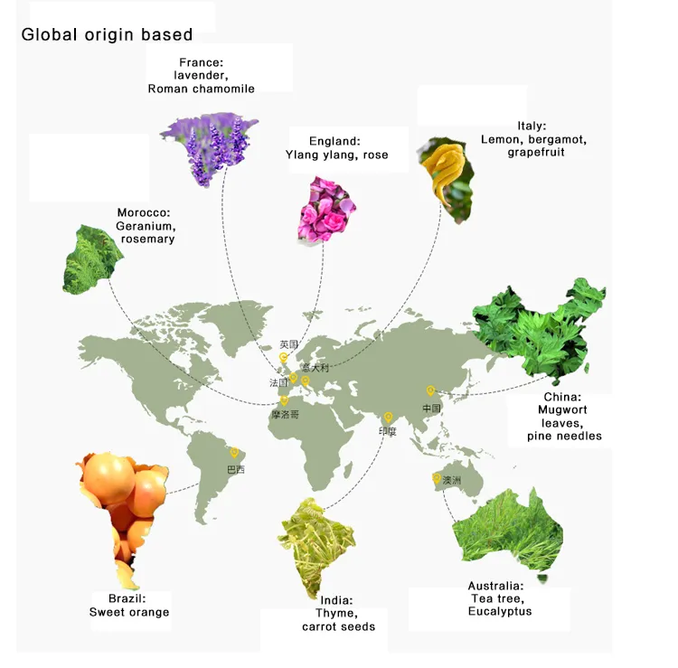 Cold Pressed Cosmetic Grade Pure Golden Jojoba Oil