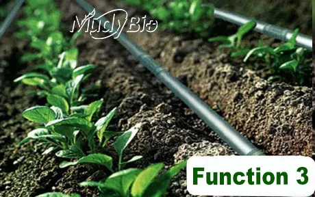 Super Potassium Humate Flake Fertilizers Products Humic Acid From Leonardite Organic Fertilizer for Plants