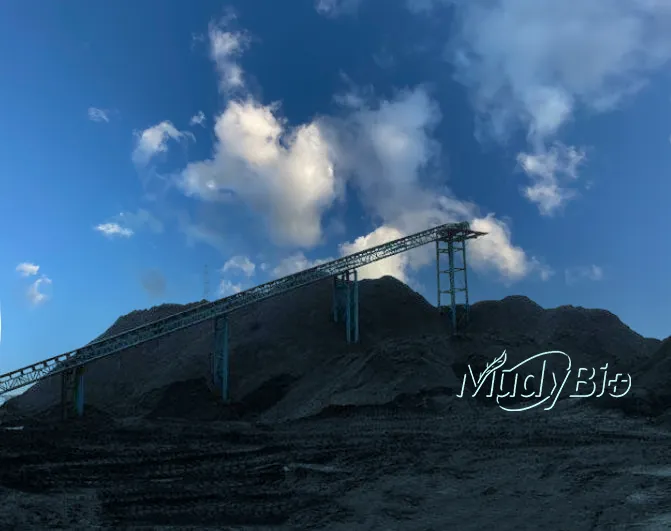 Super Potassium Humate Flake Fertilizers Products Humic Acid From Leonardite Organic Fertilizer for Plants