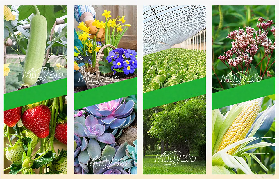 Super Potassium Humate Flake Fertilizers Products Humic Acid From Leonardite Organic Fertilizer for Plants