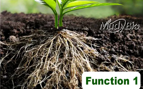 Super Potassium Humate Flake Fertilizers Products Humic Acid From Leonardite Organic Fertilizer for Plants