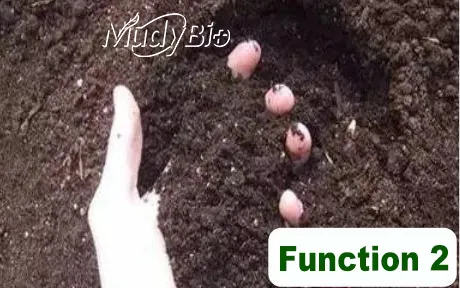 Super Potassium Humate Flake Fertilizers Products Humic Acid From Leonardite Organic Fertilizer for Plants