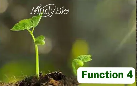 Super Potassium Humate Flake Fertilizers Products Humic Acid From Leonardite Organic Fertilizer for Plants