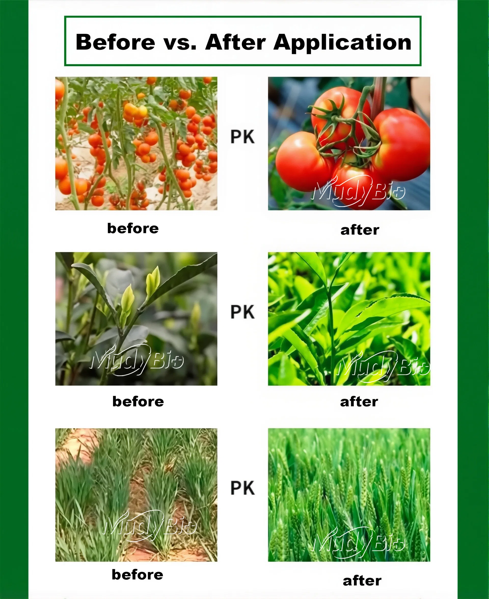 Super Potassium Humate Flake Fertilizers Products Humic Acid From Leonardite Organic Fertilizer for Plants