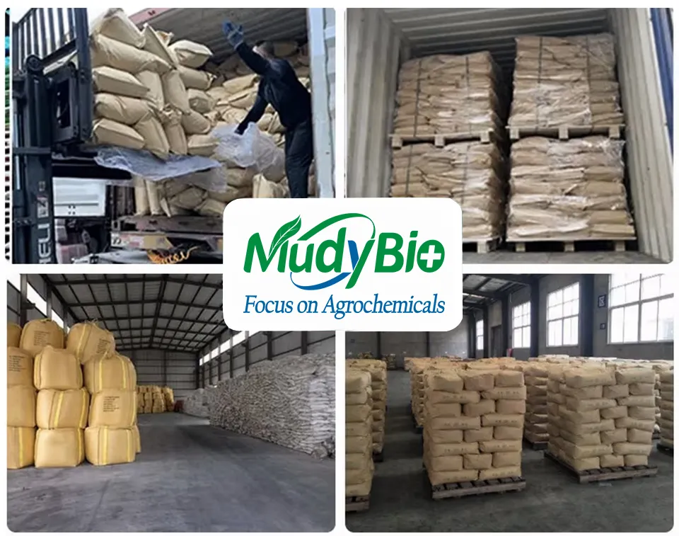 Super Potassium Humate Flake Fertilizers Products Humic Acid From Leonardite Organic Fertilizer for Plants