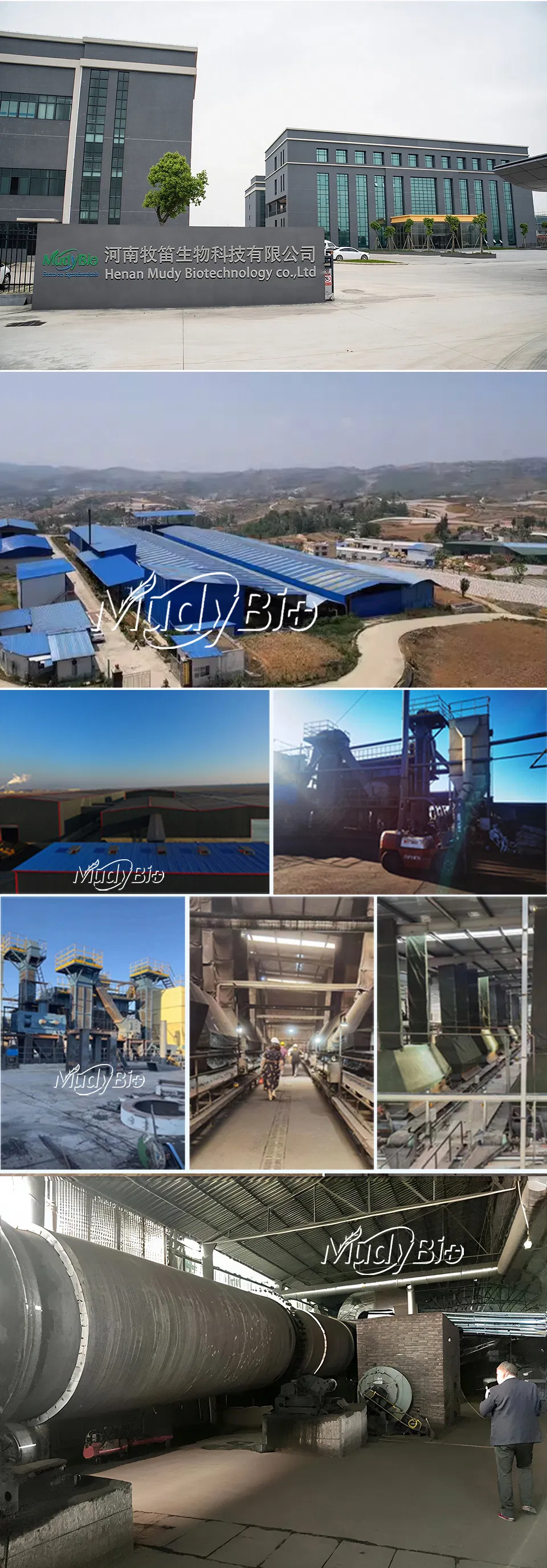 Super Potassium Humate Flake Fertilizers Products Humic Acid From Leonardite Organic Fertilizer for Plants