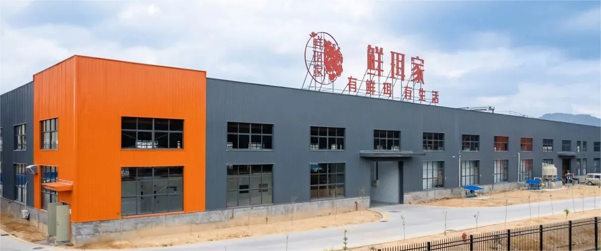 Special Price Dried Morel Mushroom, Premium Quality, Factory Direct Sale China