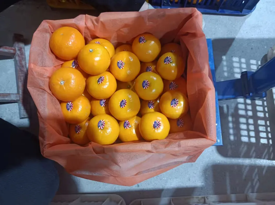 Fresh Navel Orange, Sweet and High-Quality Mandarin. China Fresh Mandarin Premium Quality Wogan Mandarin