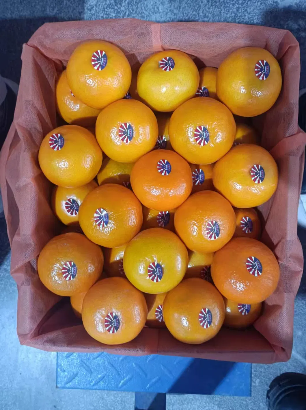 Fresh Navel Orange, Sweet and High-Quality Mandarin. China Fresh Mandarin Premium Quality Wogan Mandarin