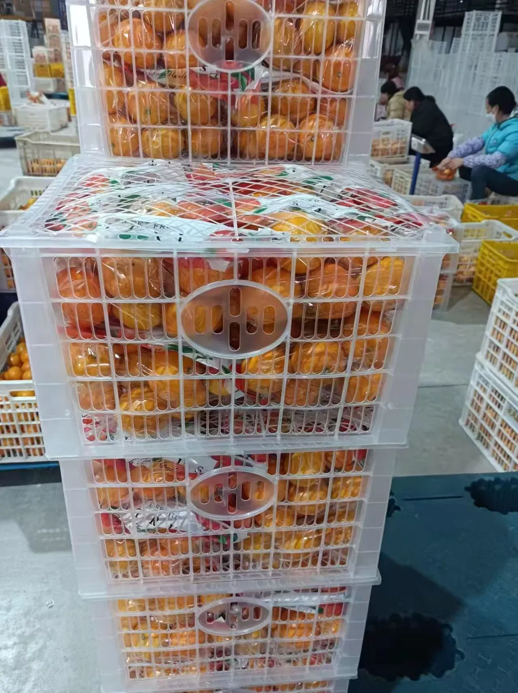 Fresh Navel Orange, Sweet and High-Quality Mandarin. China Fresh Mandarin Premium Quality Wogan Mandarin