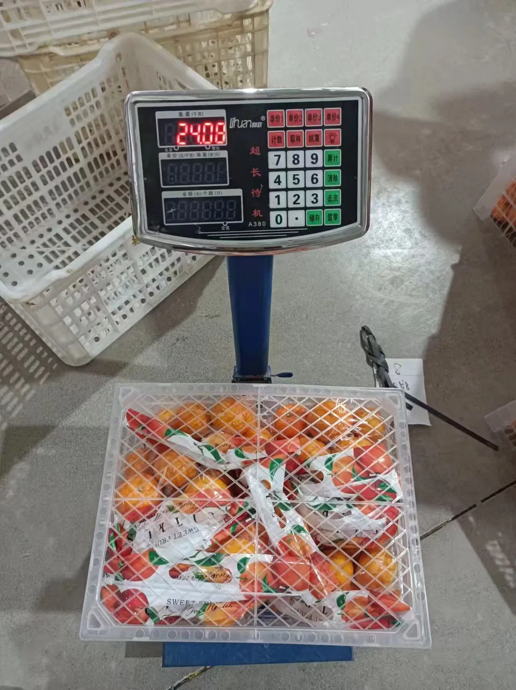 Fresh Navel Orange, Sweet and High-Quality Mandarin. China Fresh Mandarin Premium Quality Wogan Mandarin